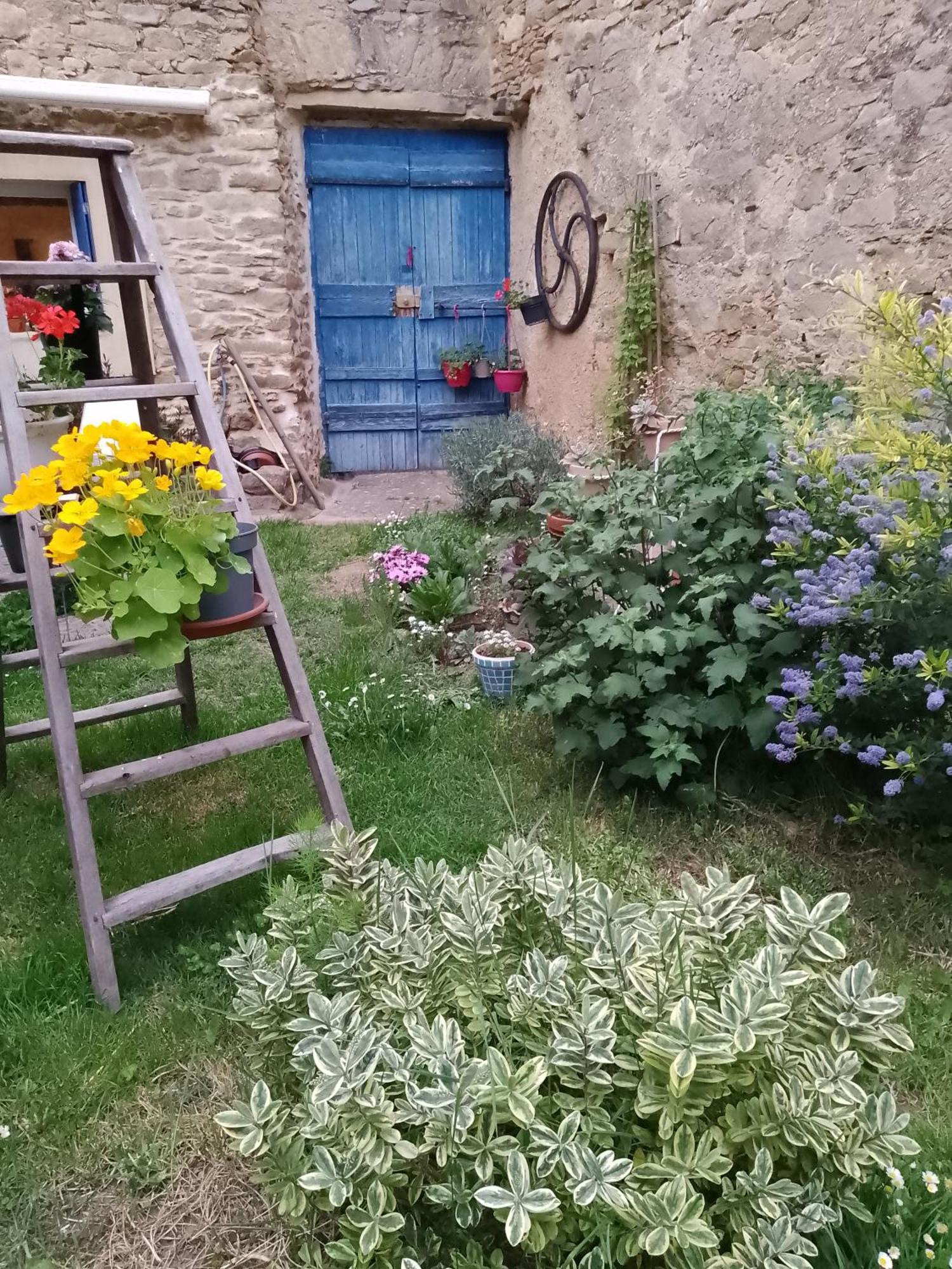 Maison Isivier Magrie Kültér fotó